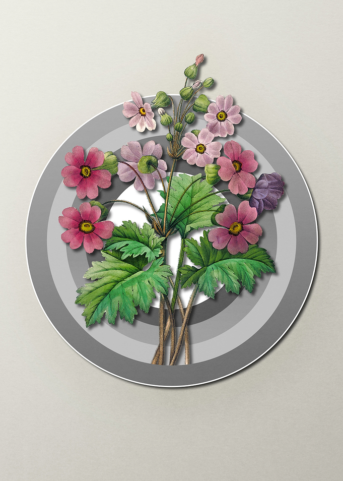 Geometric Flora Primrose