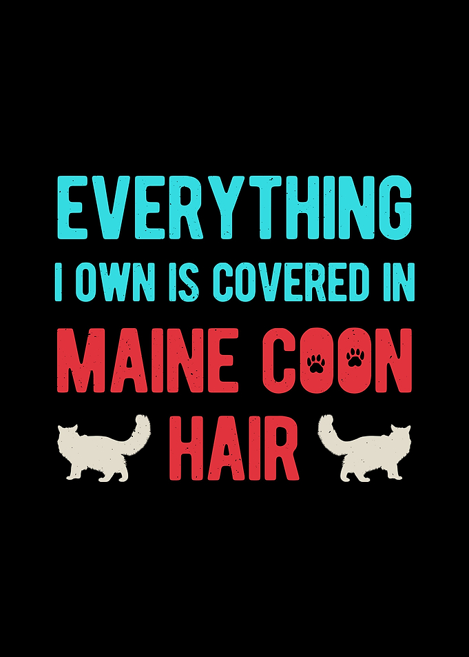 Maine Coon Cat Funny