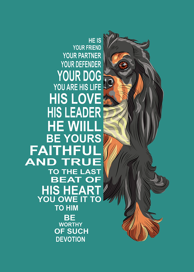 Cavalier King Charles