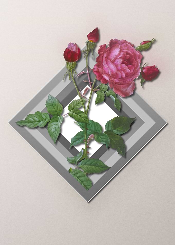 Floral Geometric Red Roses