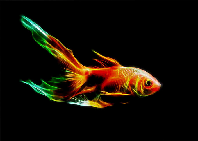 Veil Fish Fractal