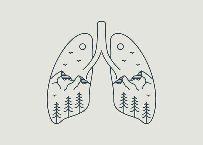 Wild Life Begins 2
