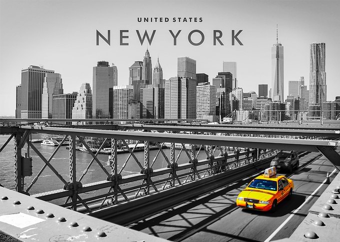 New York City View