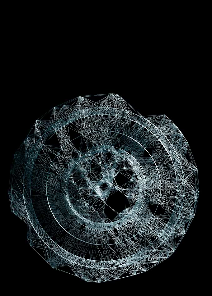 Vinyl Record