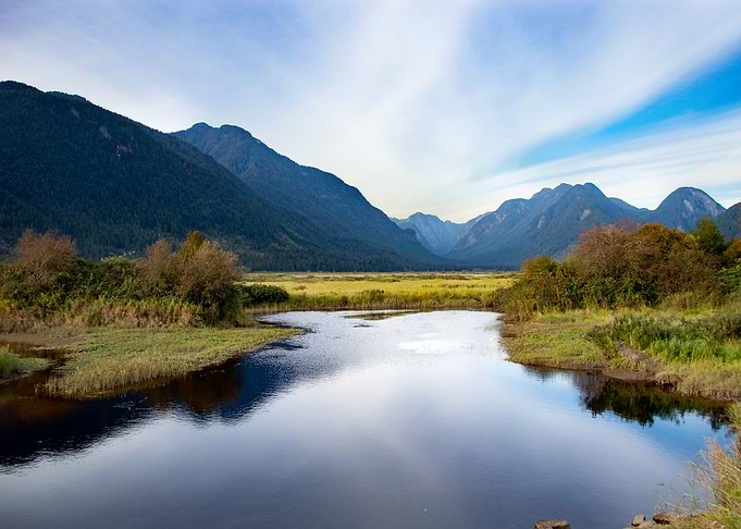 Pitt River Reflections