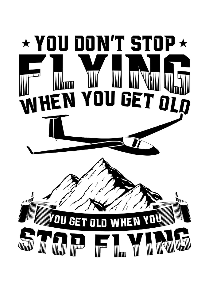 Glider Plane Flying Gift