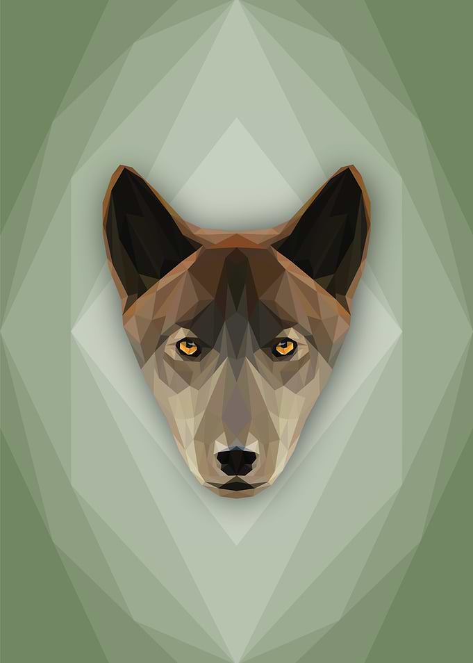 Weary Wolf