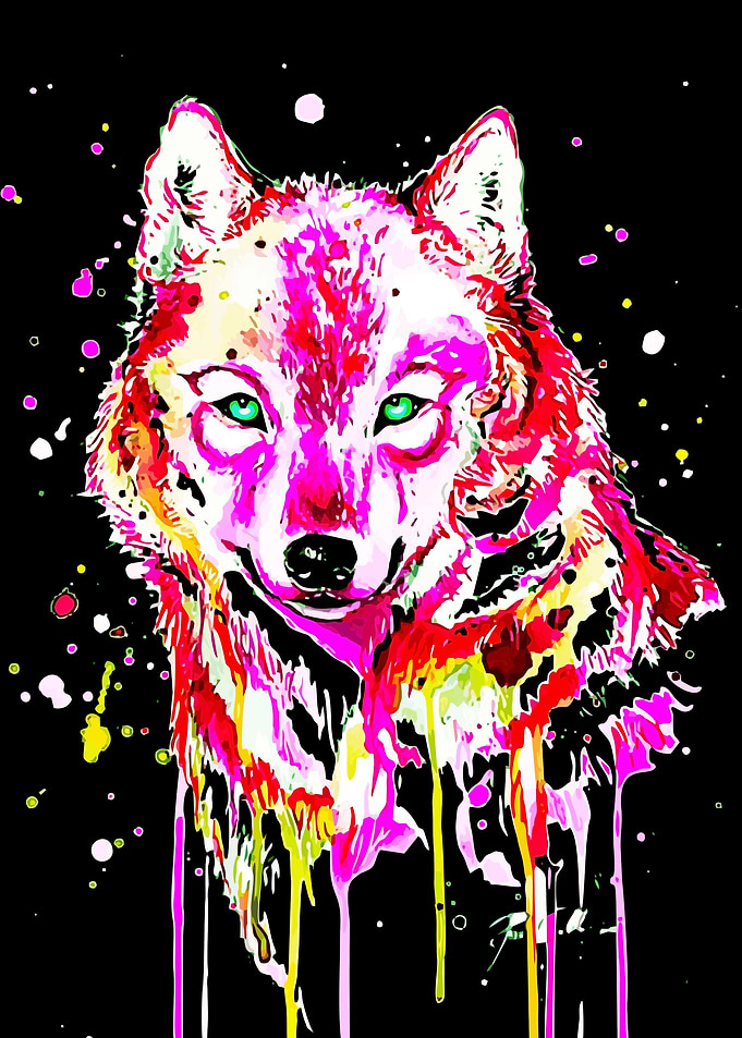 animal illustration
