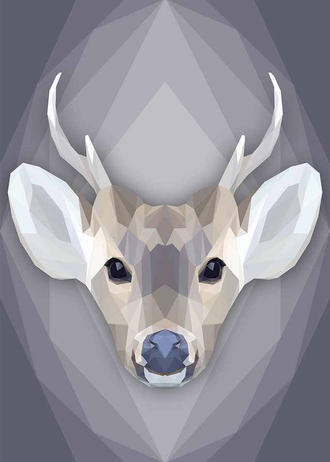 Darling Deer