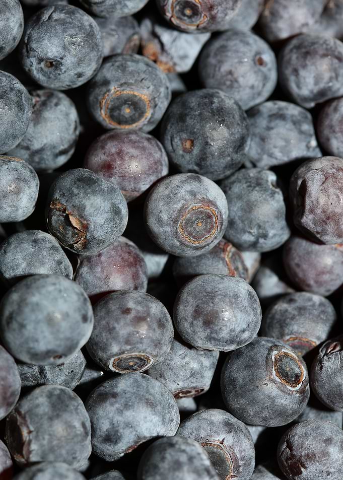 Bluberries wild fruits
