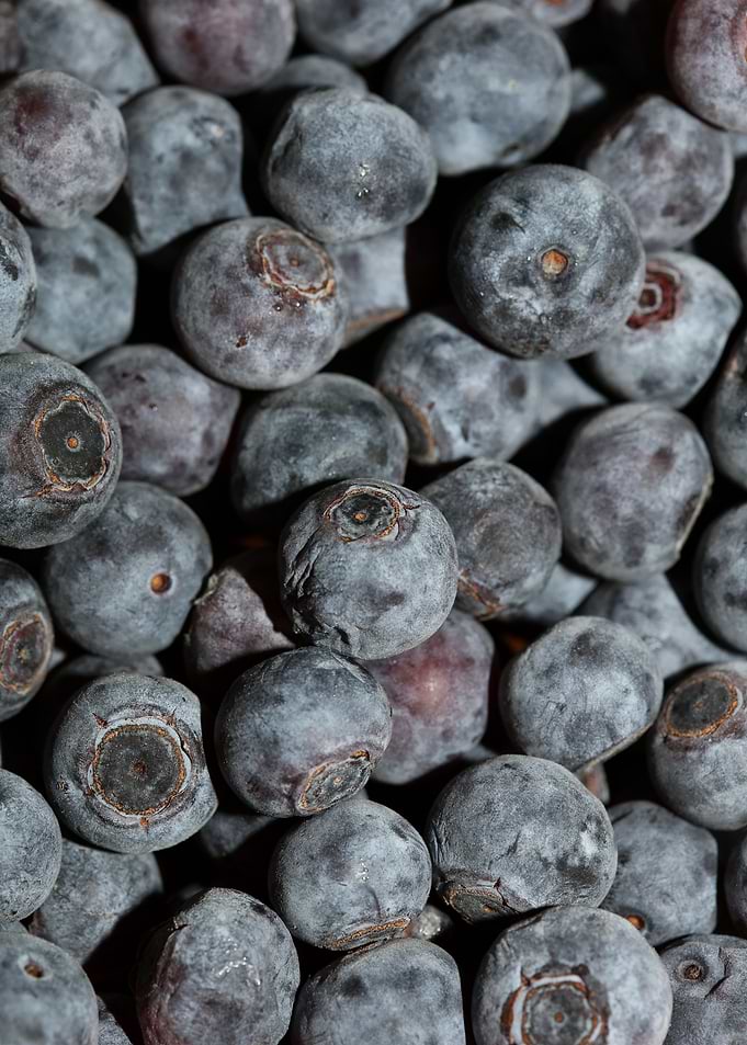 Bluberries wild fruits