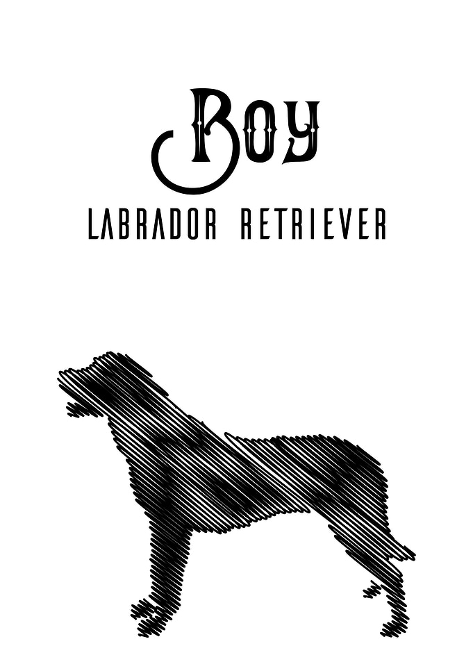 Boy