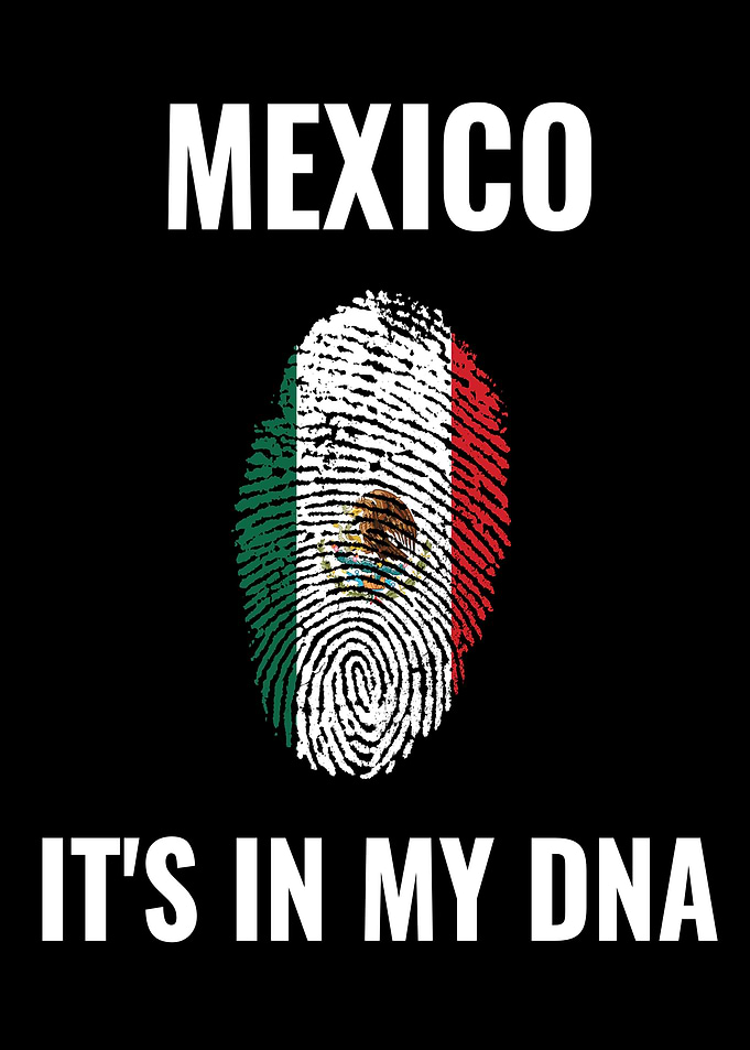 Mexico Its in my DNA Quote