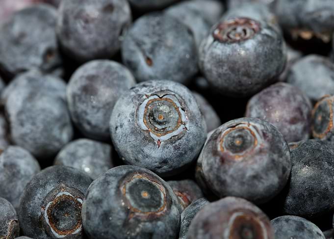 Bluberries wild fruits