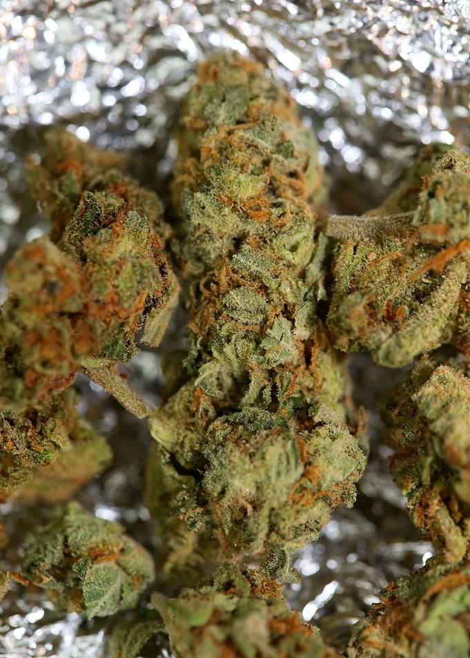 Super lemon haze cannabis