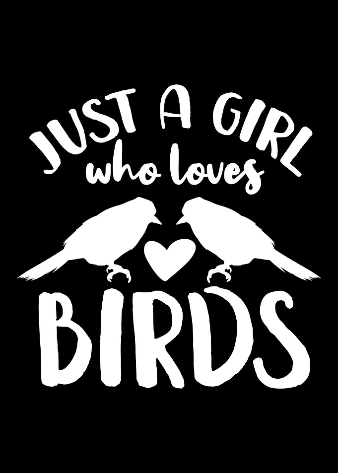 Birds Birdwatcher Birder O