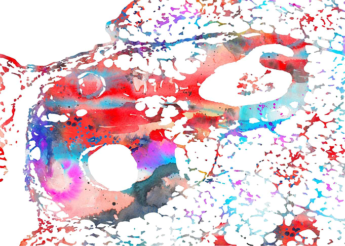 Artery and vein