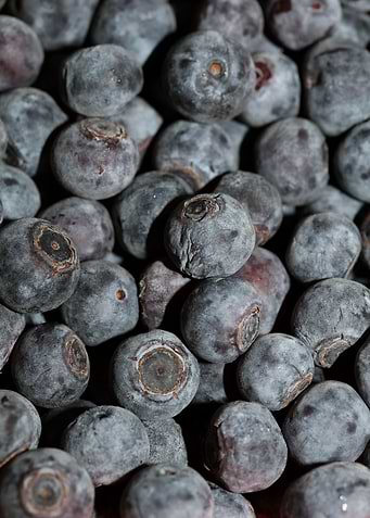 Bluberries wild fruits