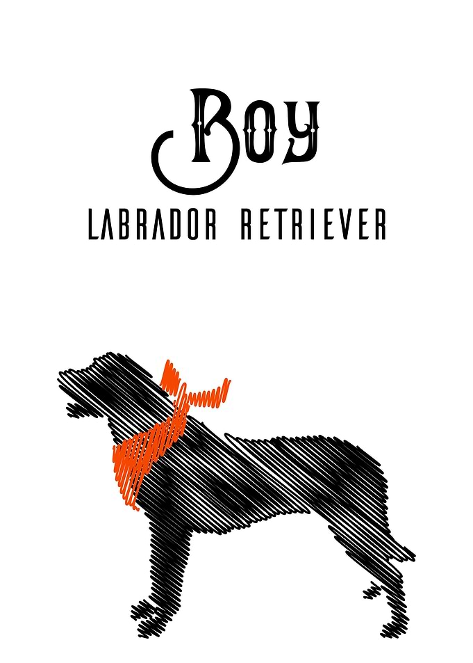 Boy