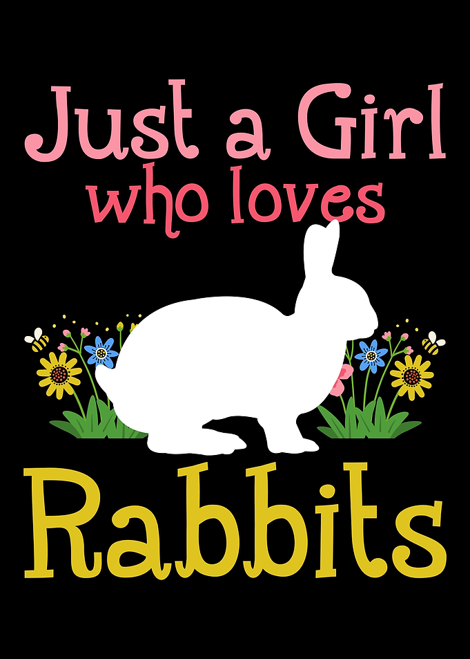Rabbit Rabbit Lover Rodent