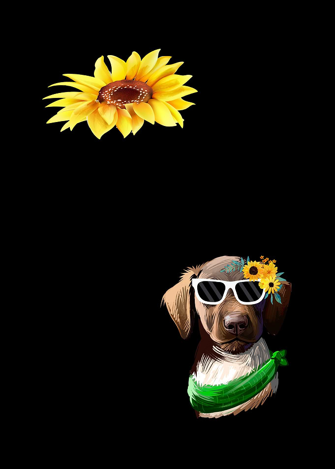 German Shorthair Pointer