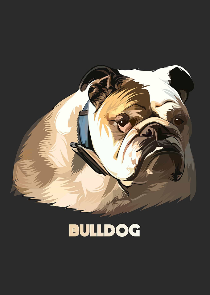 Bulldog