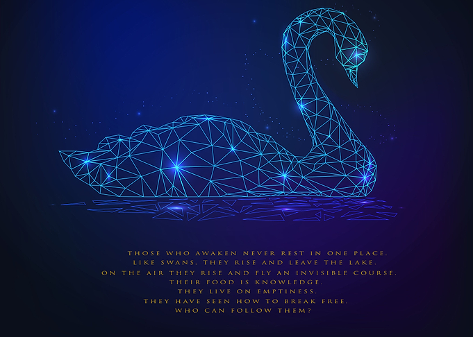 SWANS