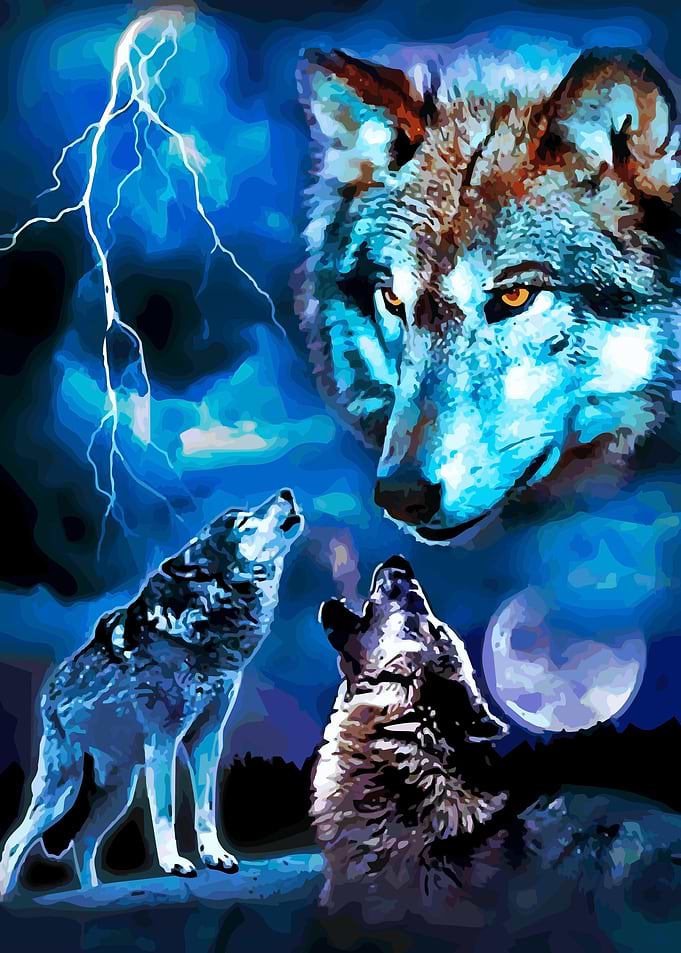 animal illustration