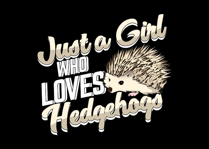 Cute Hedgehog Design