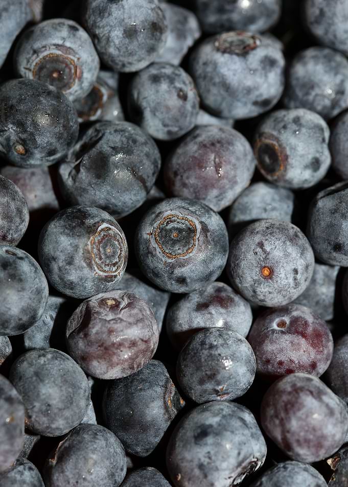 Bluberries wild fruits