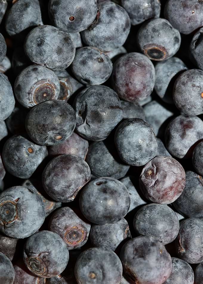 Bluberries wild fruits
