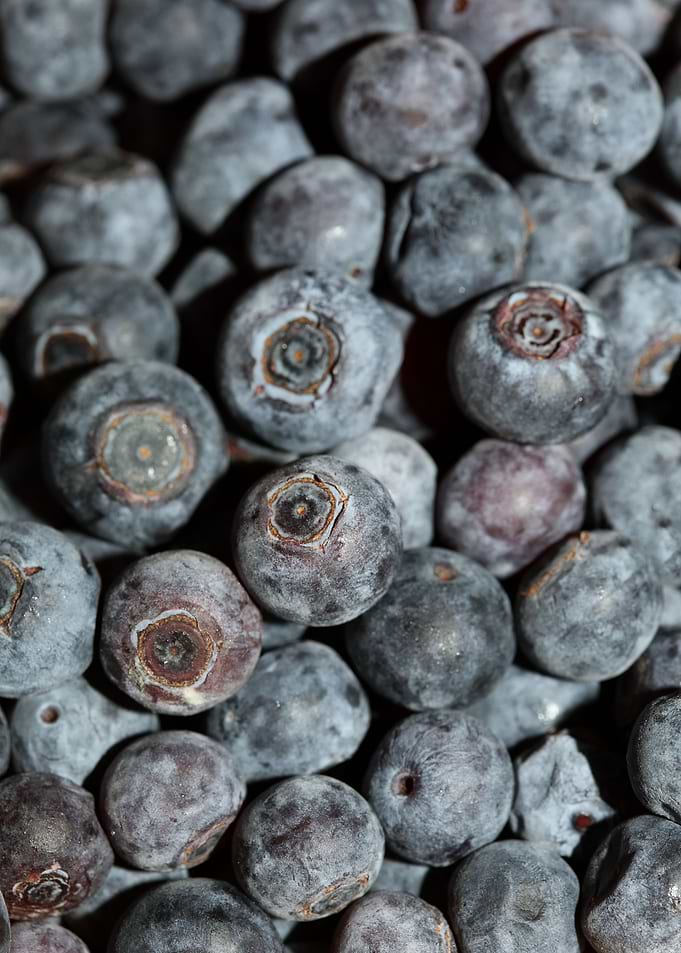 Bluberries wild fruits