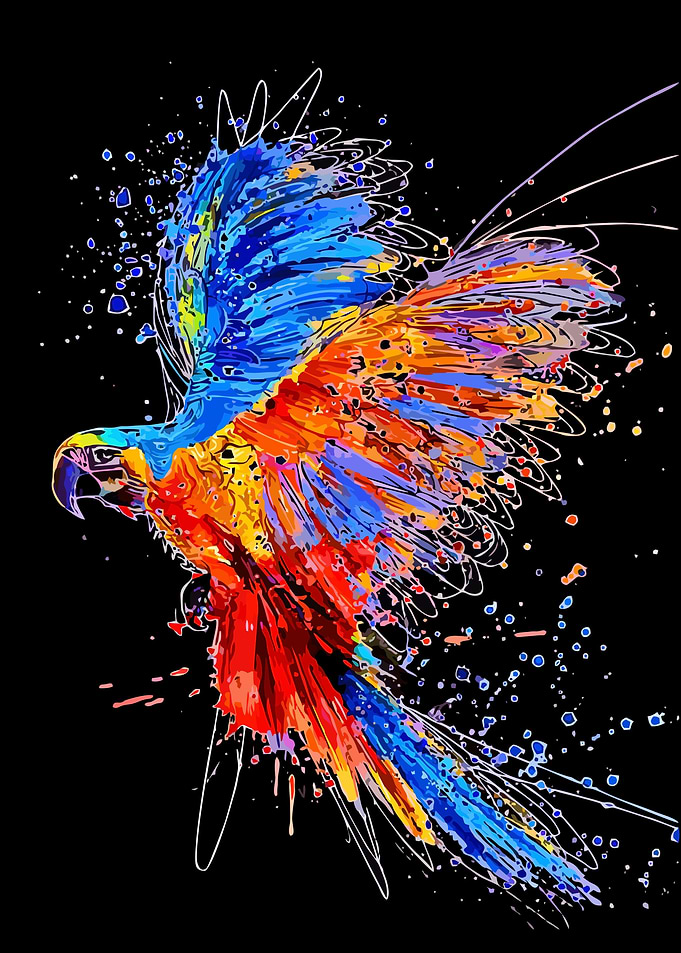 animal illustration