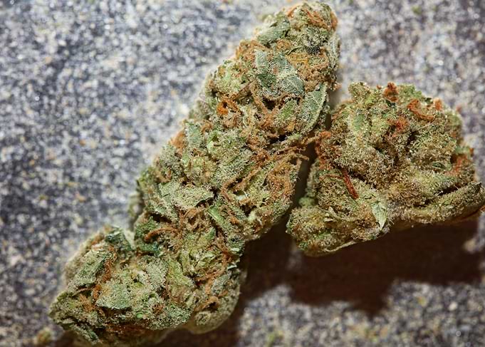 Super lemon haze cannabis