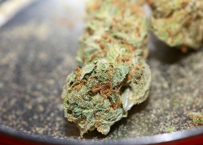 Super lemon haze cannabis