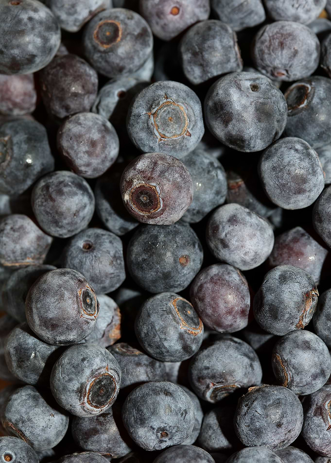 Bluberries wild fruits