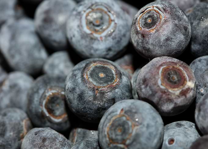 Bluberries wild fruits