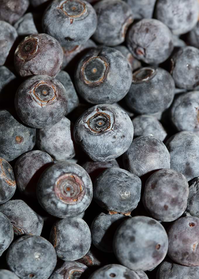Bluberries wild fruits