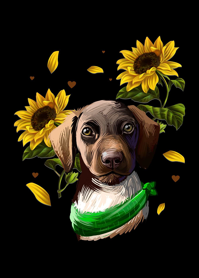 German Shorthair Pointer