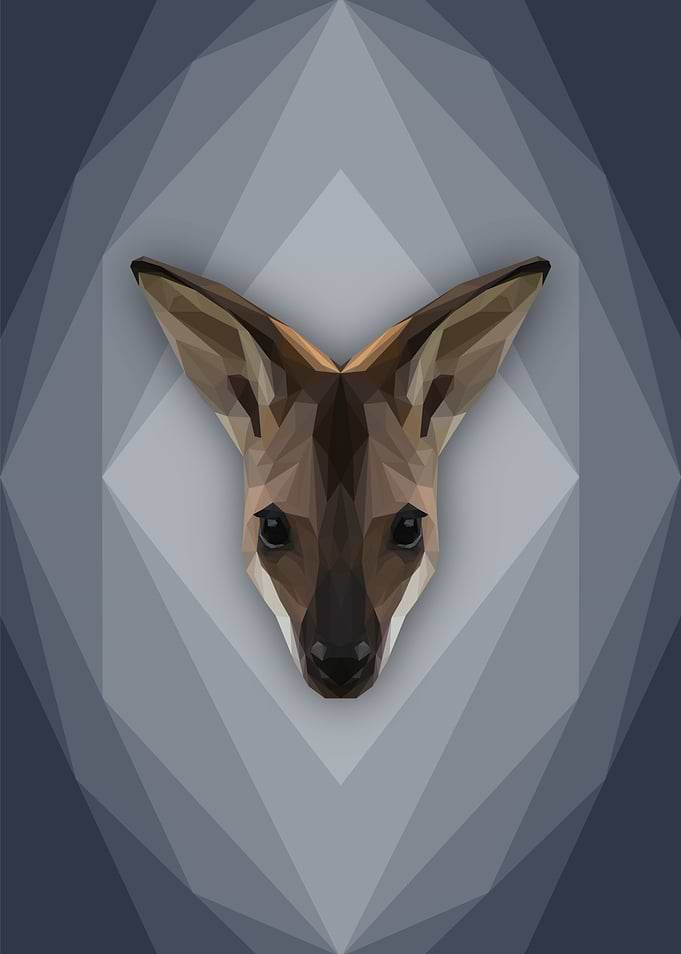 Wild Wallaby