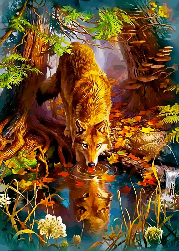 animal illustration