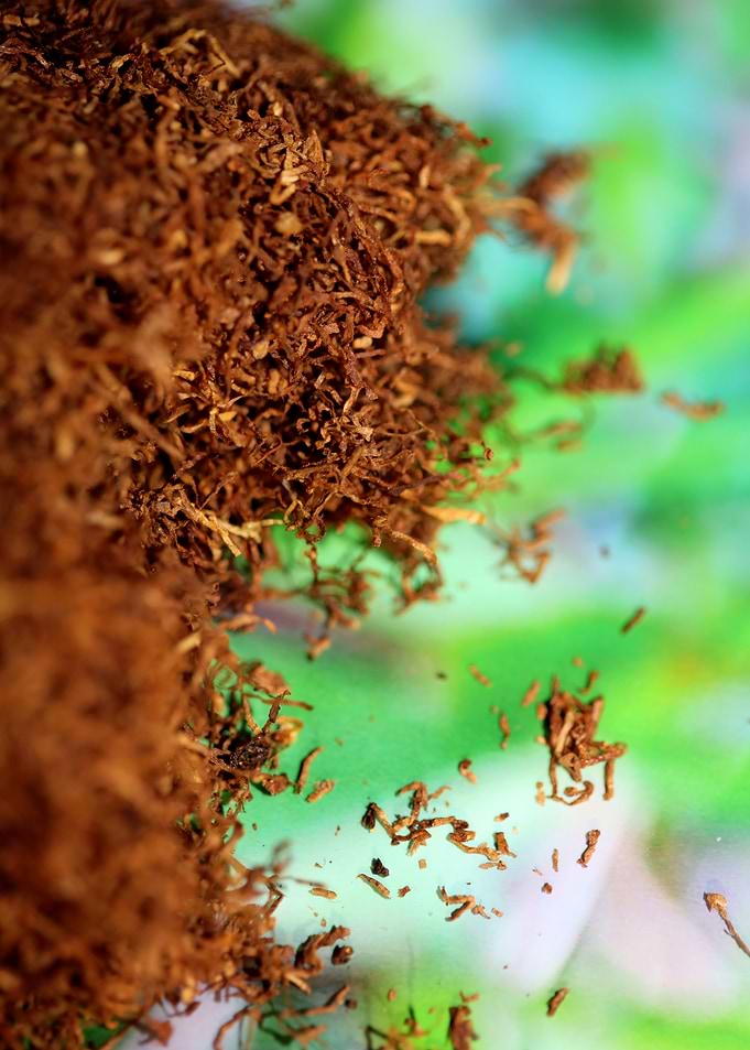 Tobacco leaves background