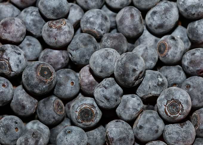 Bluberries wild fruits
