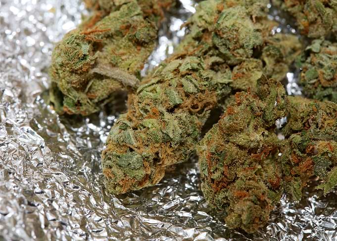 Super lemon haze cannabis