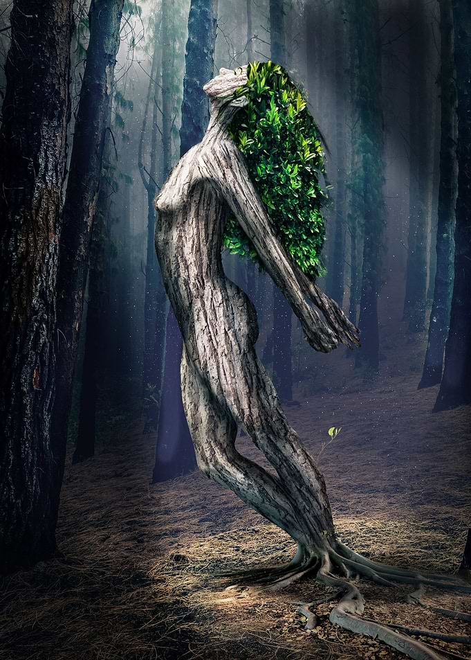 Lady Of The Woods