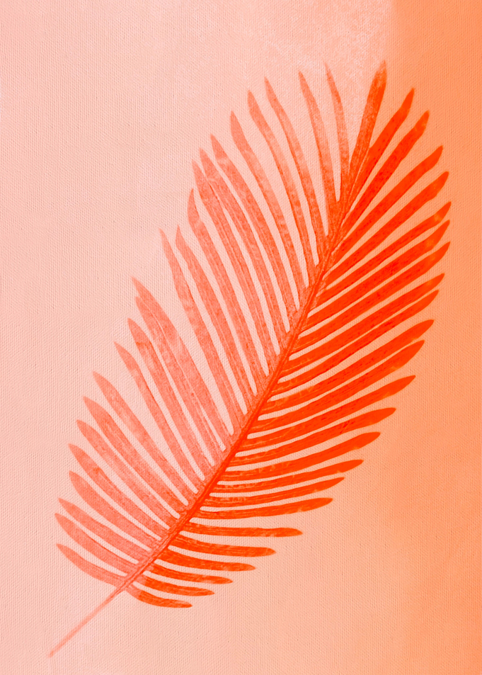 Leaves 01r