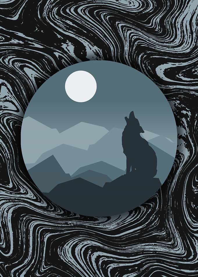 Wolf At Night Landscape