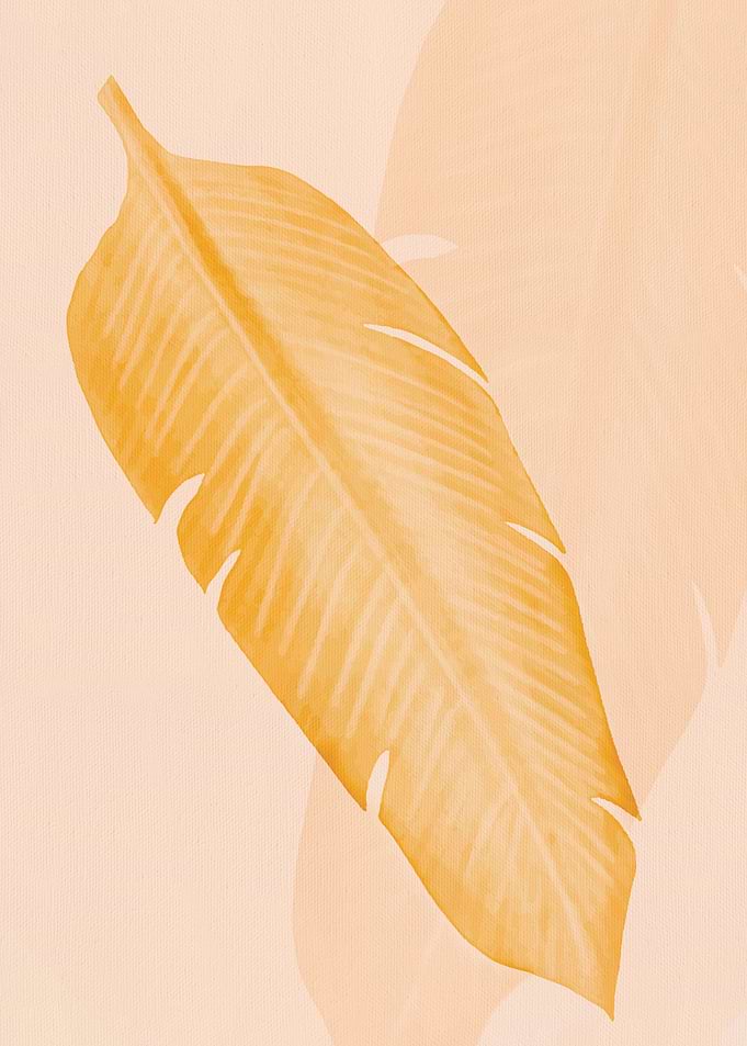 Leaves 03y