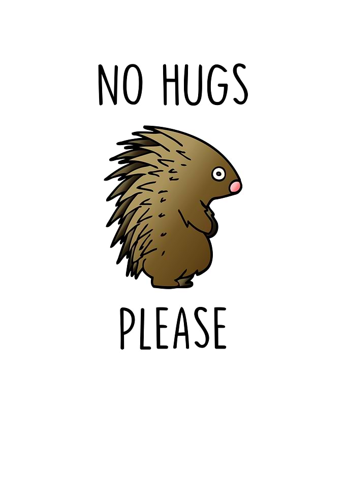 No Hugs Please Hedgehog