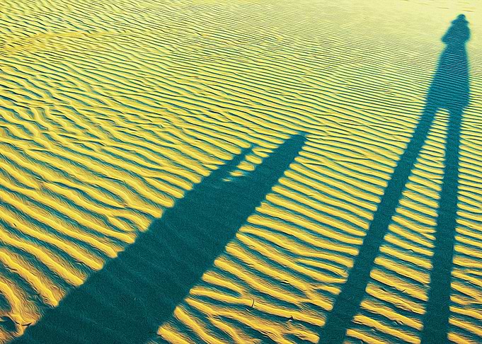 Shadows of best friends